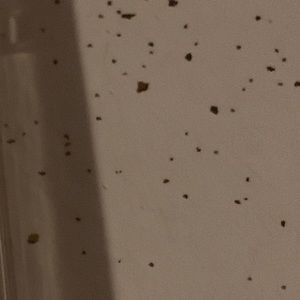 Meet your Posher, Tim